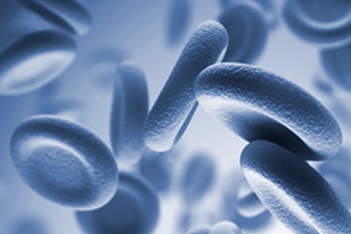 hematologia